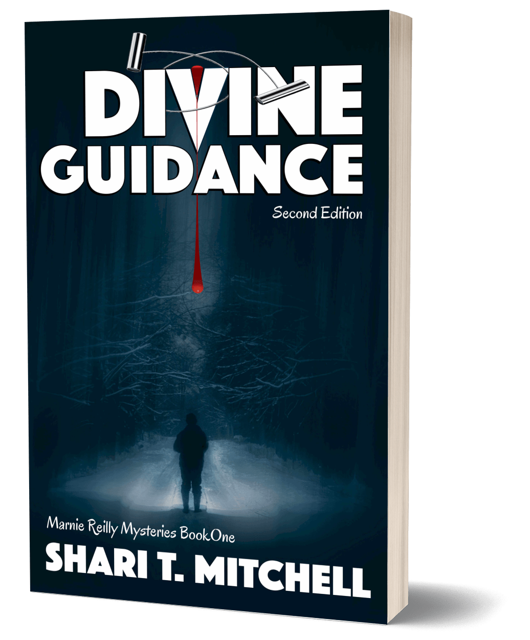 Marnie Reilly Mysteries Book 1